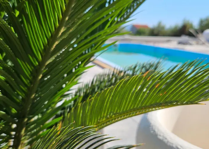 Apricus Cro וילה